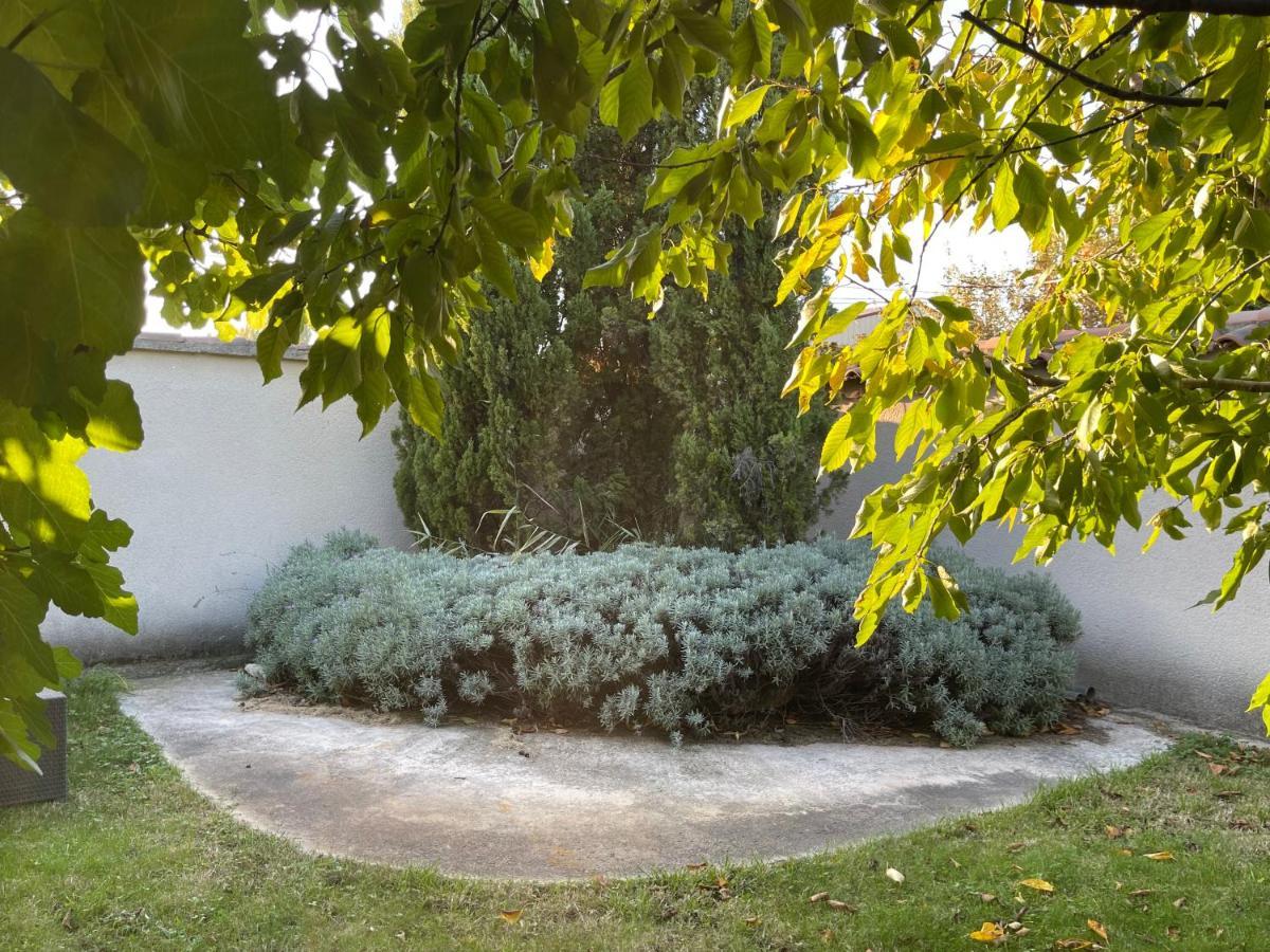Studio Les Petits Lutins Entraigues-sur-la-Sorgue Bagian luar foto